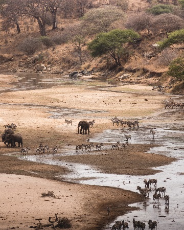 5-days-tarangire-serengeti-ngorongoro