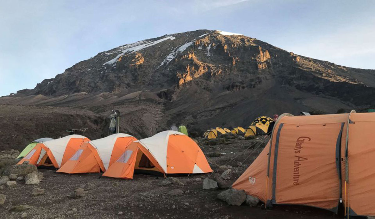 Lemosho route 7 days on Kilimanjaro hiking