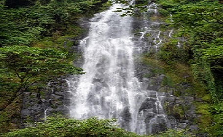 Marangu chagga waterfall day trip.