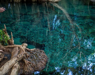 materuni coffee day trips tour.