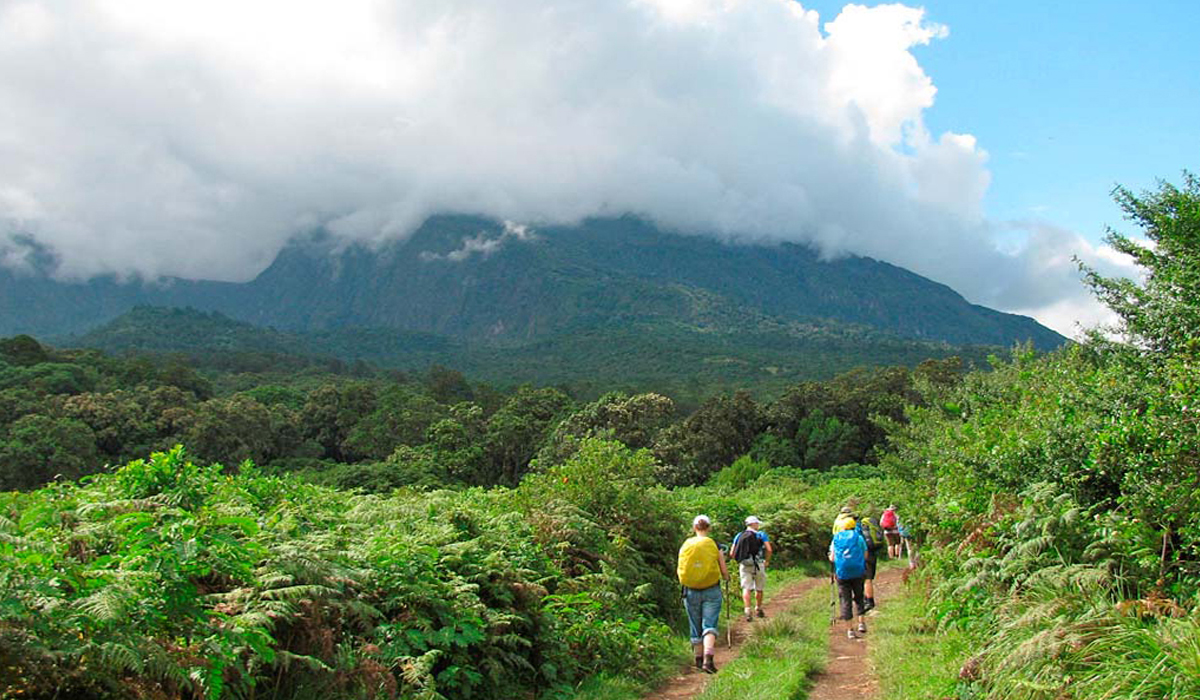 4 Days  Mount Meru Trekking Trip in ,2026 &  From Moshi or Arusha